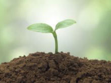 一连流动剖析仪测试土壤氨氮（水杨酸钠法）